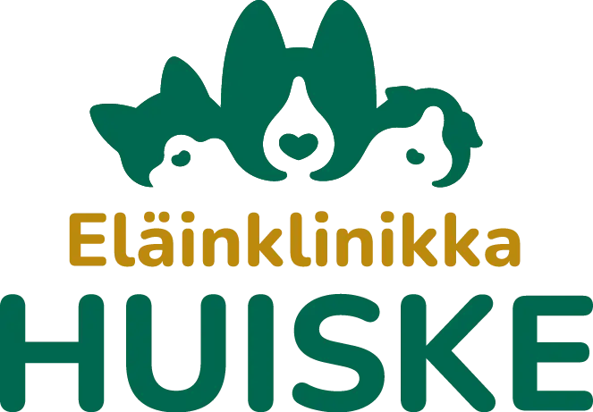 eläinklinikka kouvola