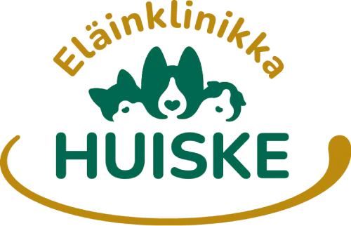eläinklinikka huiske kouvola